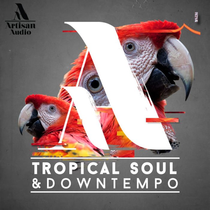 Artisan Audio Tropical Soul & Downtempo