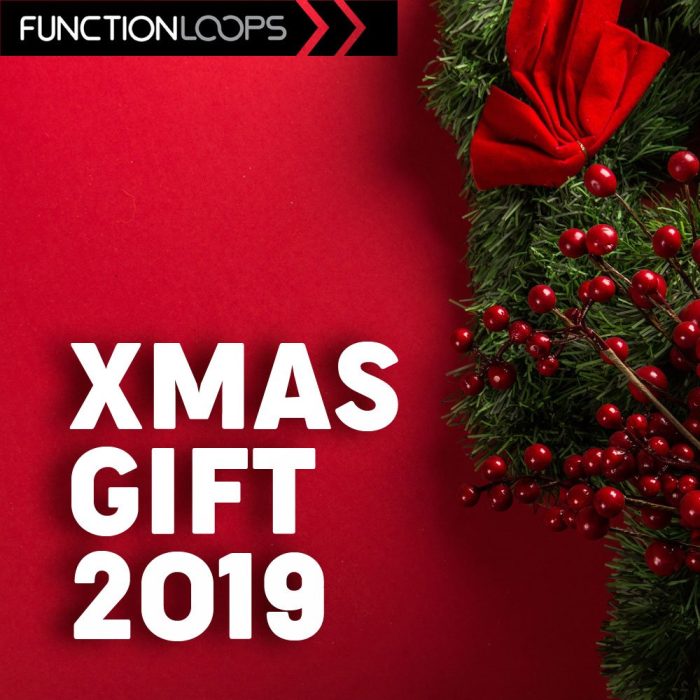 Function Loops Xmas Gift 2019