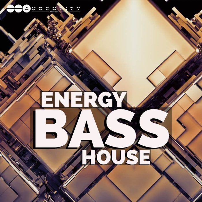 Audentity Engergy Bass House