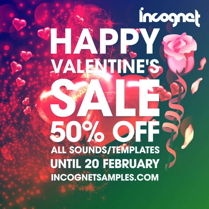 Incognet Valentines Day Sale