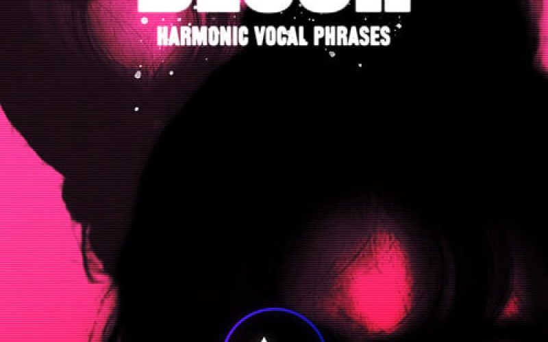 blush ADSR  Harmonic Vocal Samples