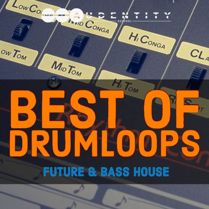 Audentity Records Best Of Drumloops