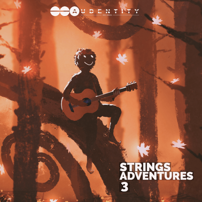 Audentity Records Strings Adventures 3