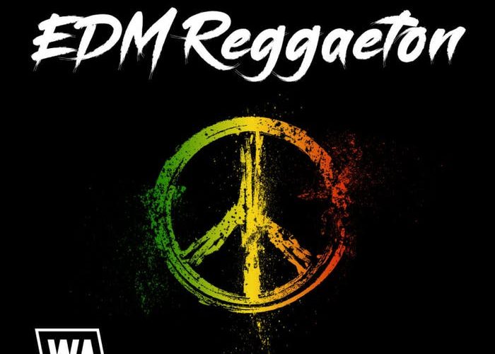 WA Production EDM Reggaeton