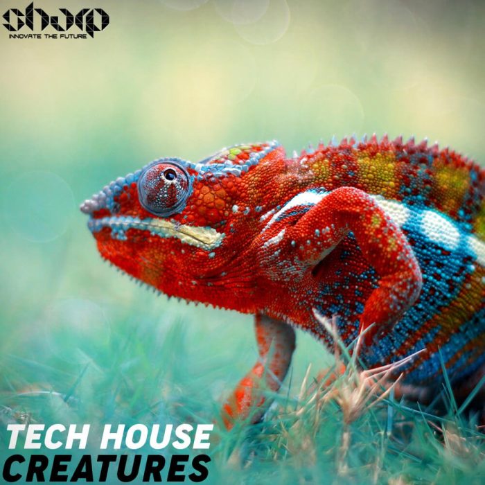 Sharp Tech House Creatures