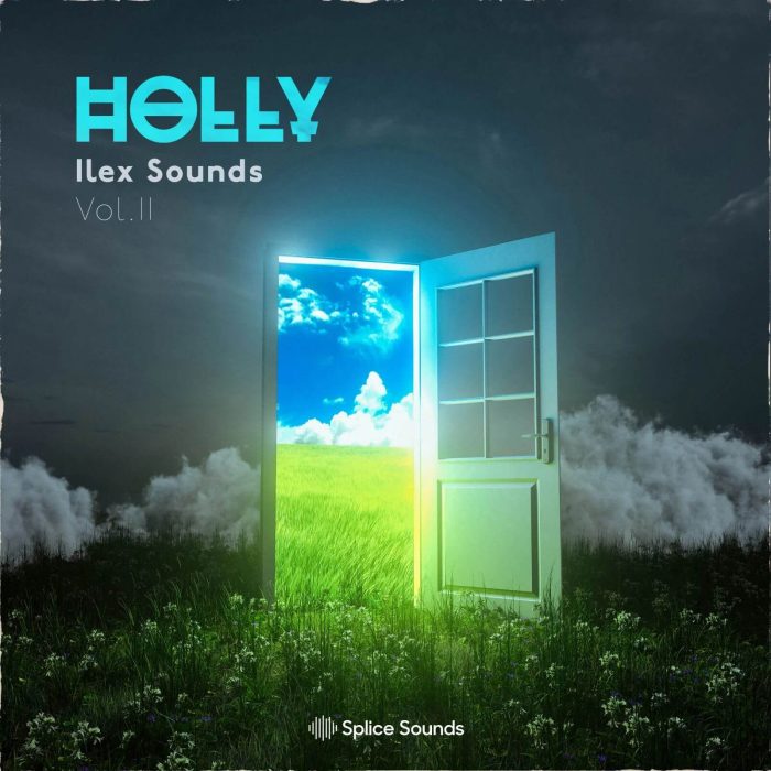 Splice Sound Holly 2
