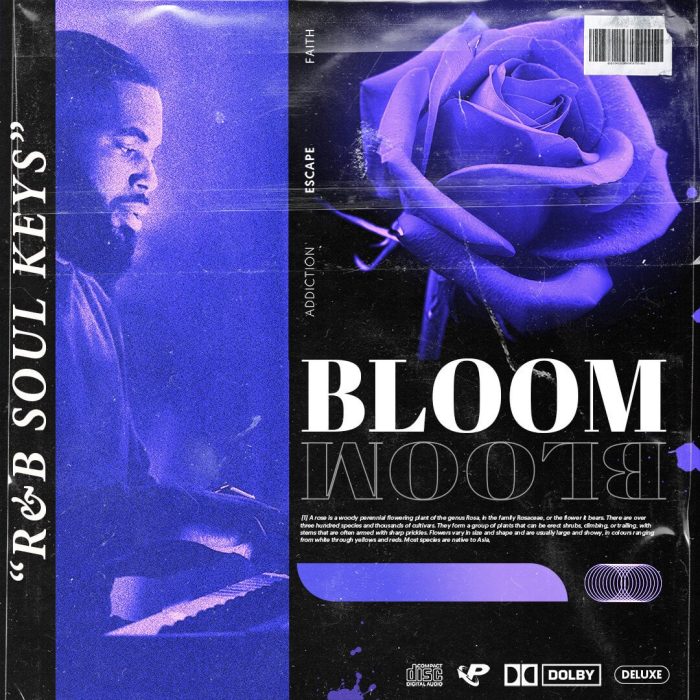 Prime Loops Bloom RnB Soul Keys