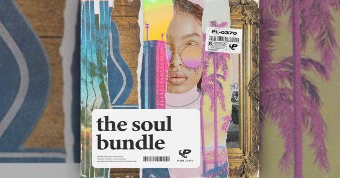 Prime Loops Soul Bundle