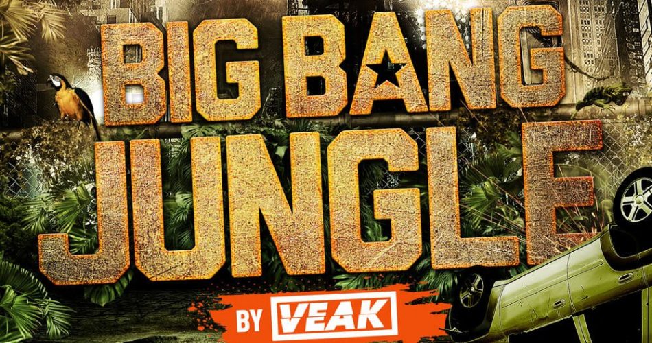 Thick Sound Veak Big Bang Jungle