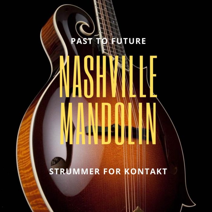 Past To Future Nashville Mandolin Strummer