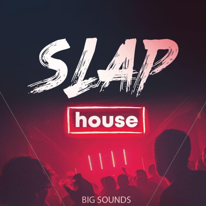 Big Sounds Slap House