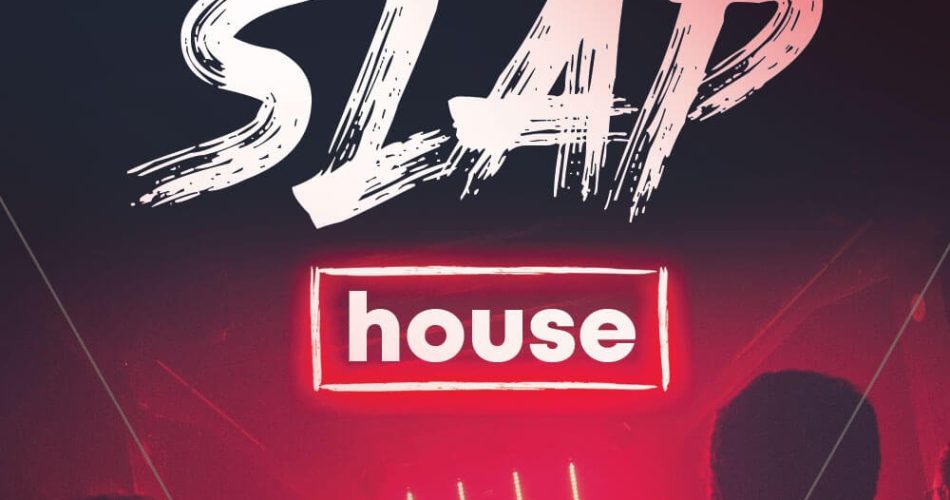 Big Sounds Slap House