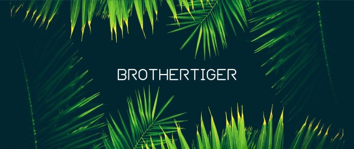 Brothertiger Patch Collections