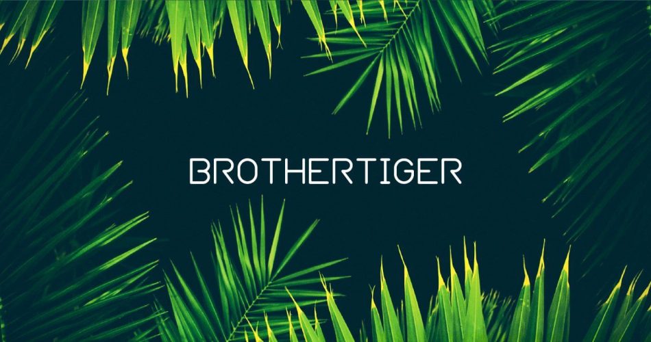 Brothertiger Patch Collections