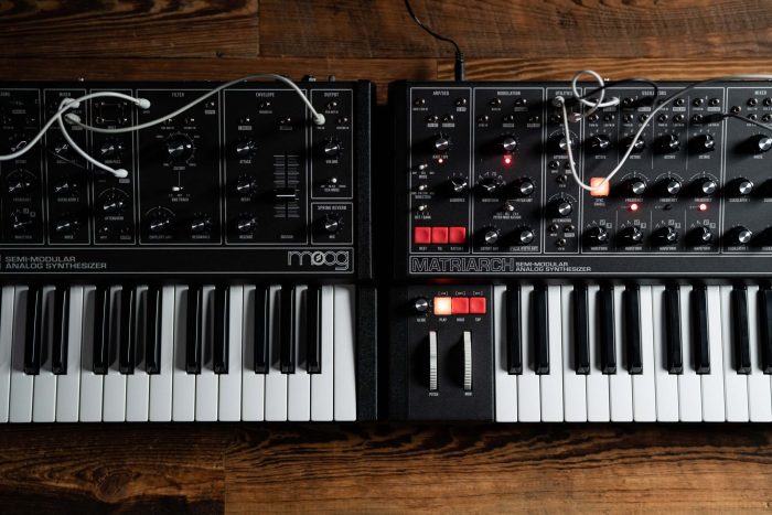 Moog Dark Series