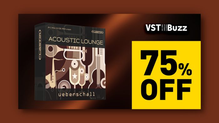 VST Buzz Acoustic Lounge