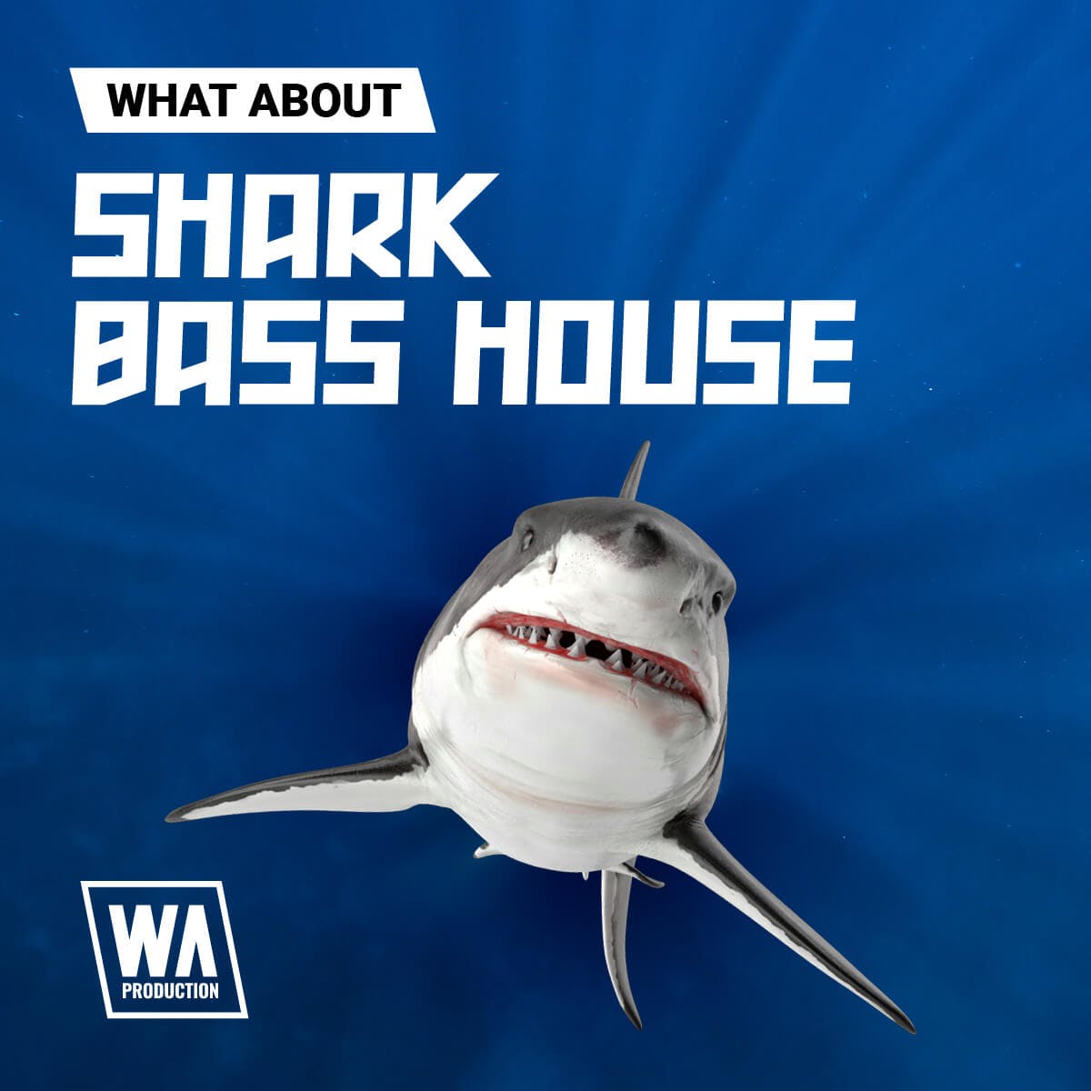 Slow daze. Шарк продакшн. Shark Bass. Dogfish Productions логотип. Акула басс фото.