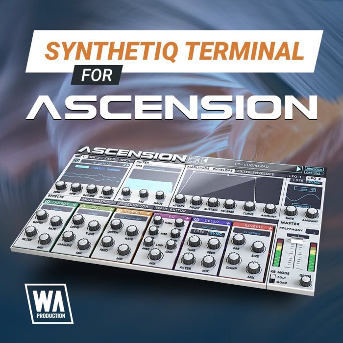 WA Synthetic Terminal for Ascension