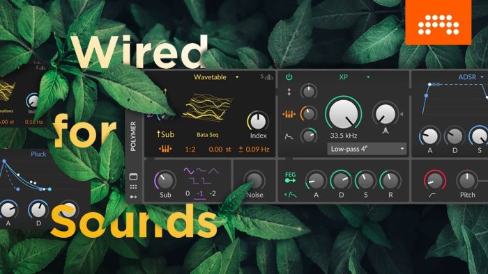 Bitwig Studio 3.3 Wired for Sounds