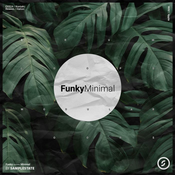 Samplestate Funky Minimal