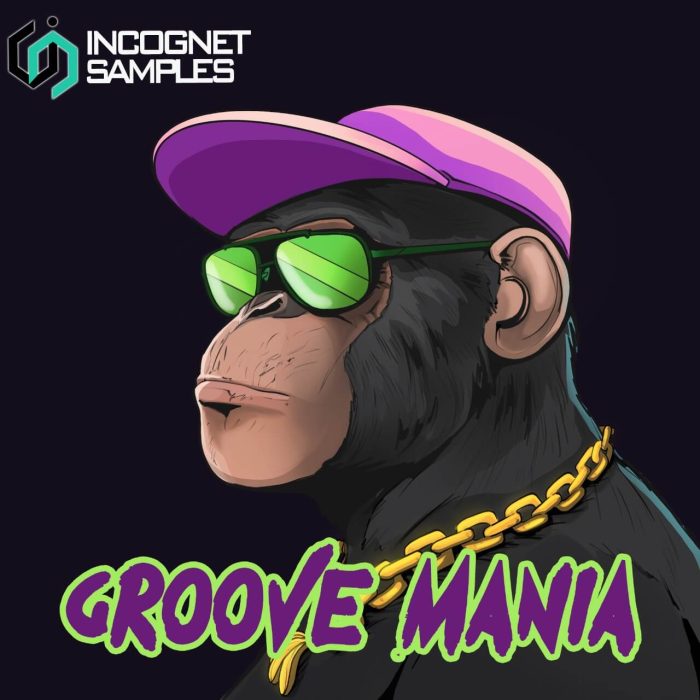 Incognet Samples Groove Mania