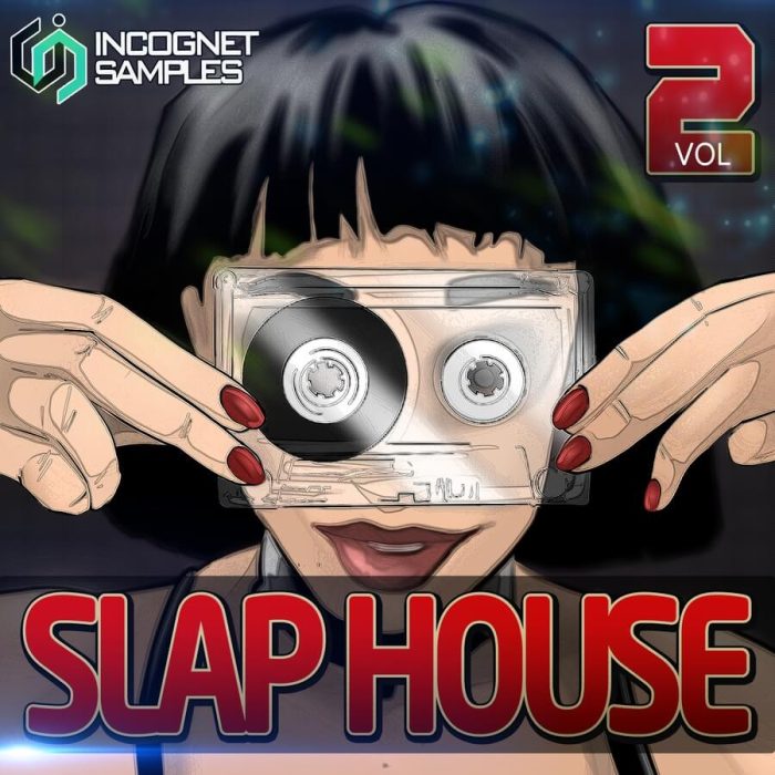 INCOGNET SLAP HOUSE 2