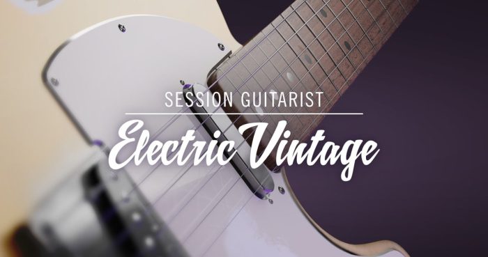 NI Session Guitarist Electric Vintage