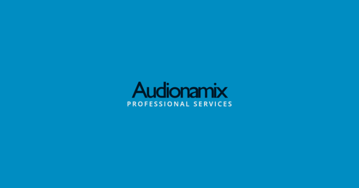 Audionamix Professional Services