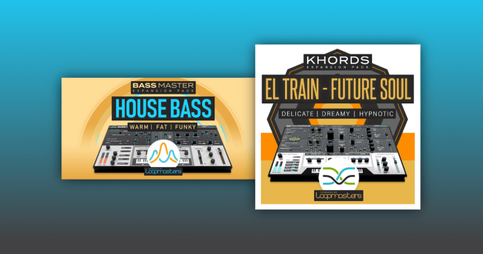 PIB Bass House El Train Future Soul