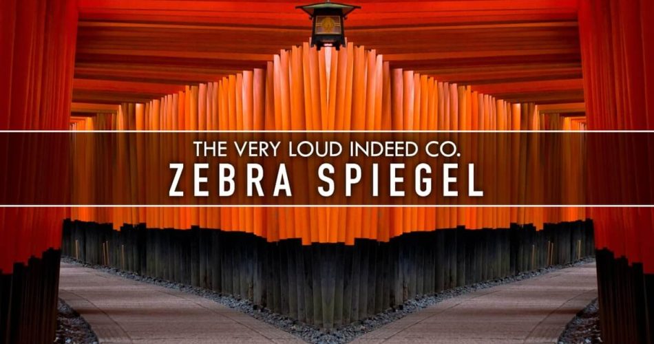 The Very Loud Indeed Co Zebra Spiegel