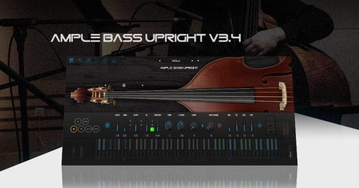 ample bass update