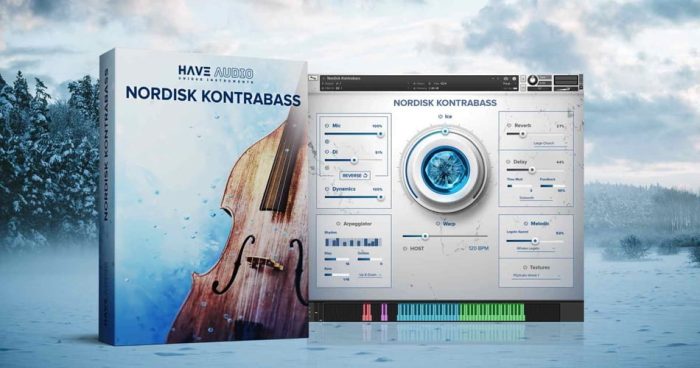 Have Audio Nordisk Kontrabass