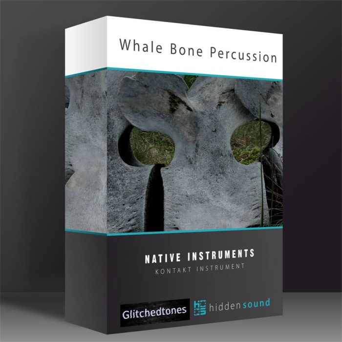 Glitchedtones Whale Bone Percussion