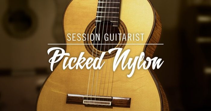 NI Session Guitarist Picked Nylon