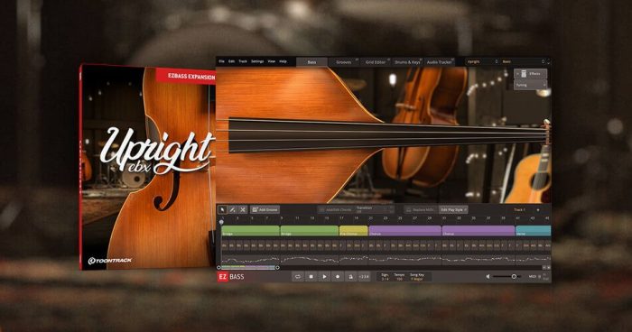 Toontrack Upright Bass EBX