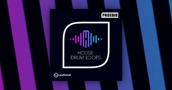 AudioVat House Drum Loops