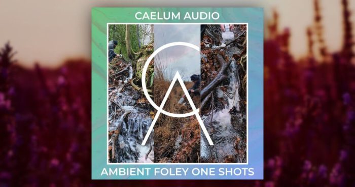 Caelum Audio Ambient Foley One Shots