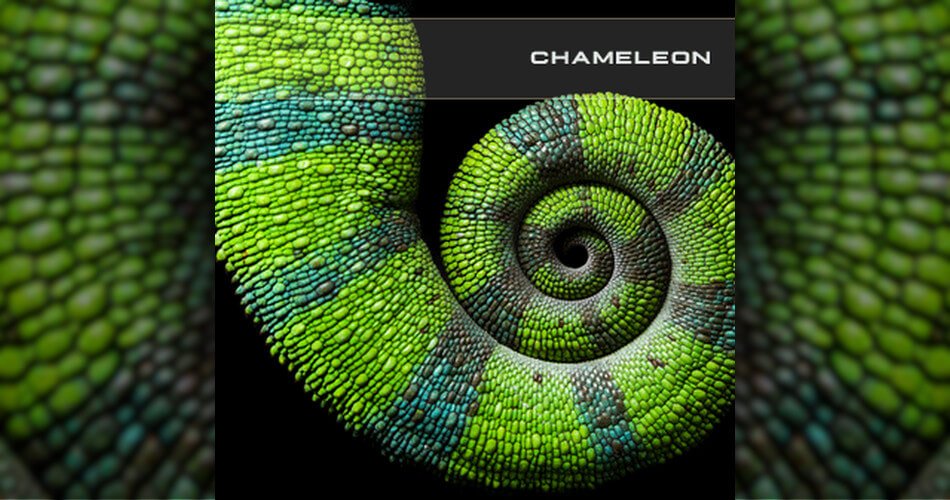 Soundsdivine Chameleon