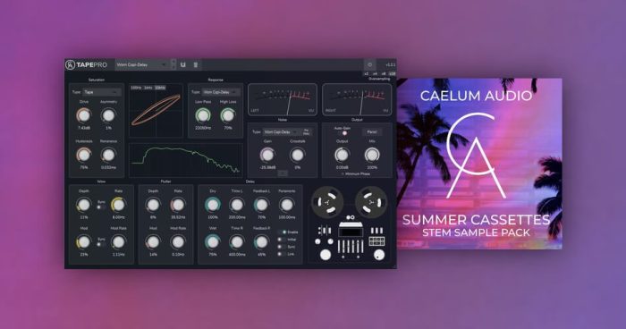 Caelum Audio Tape Pro Summer Cassettes