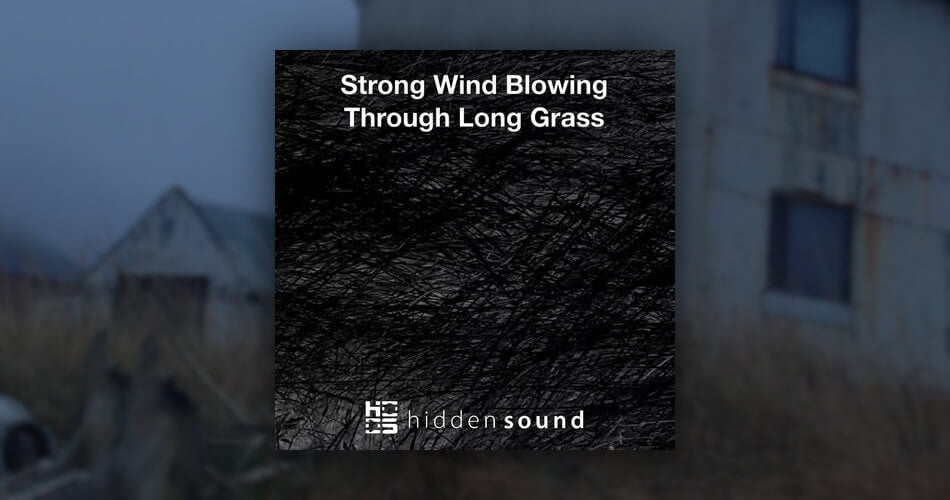 Hidden Sound Strong Wind Blowing Through Long Grass