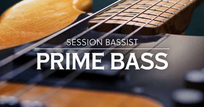 Native Instruments Session Bassist Prime Bass