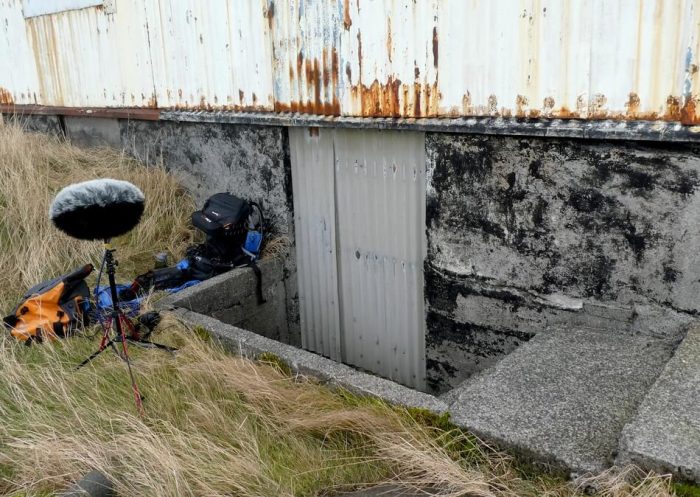 strong wind blowing through long grass bunker