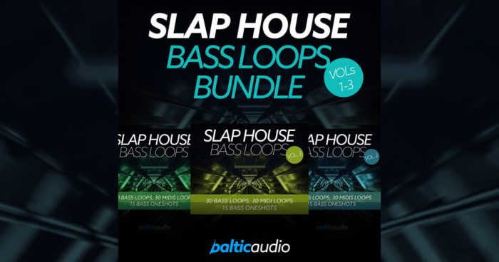 Baltic Audio Slap House Bass Loops Bundle