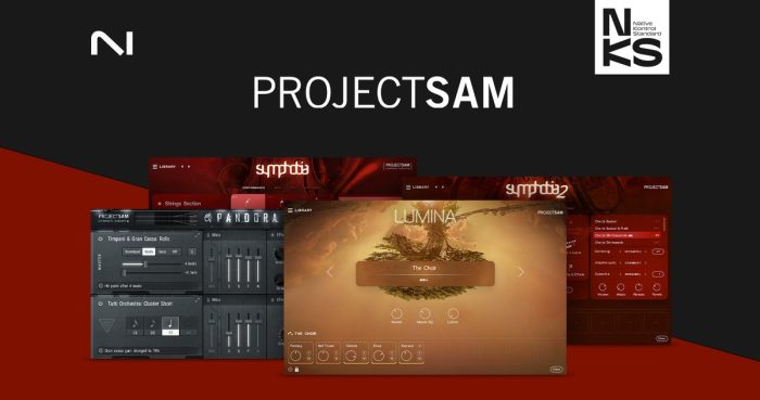 Native Instruments ProjectSAM 2024