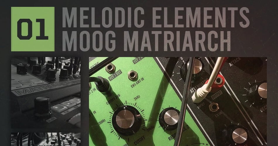 Resonance Sound Melodic Elements 01 Moog Matriarch