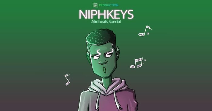 ADSR Niphkeys Afrobeats Special