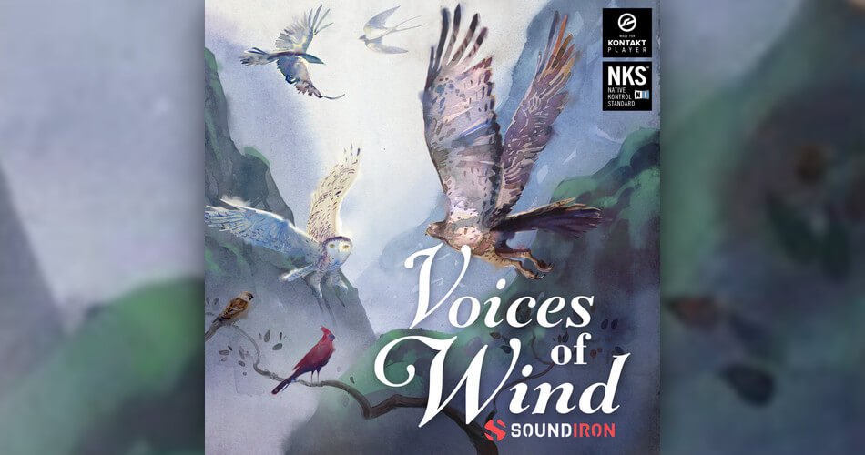 Soundiron Voices of Wind Collection artwork