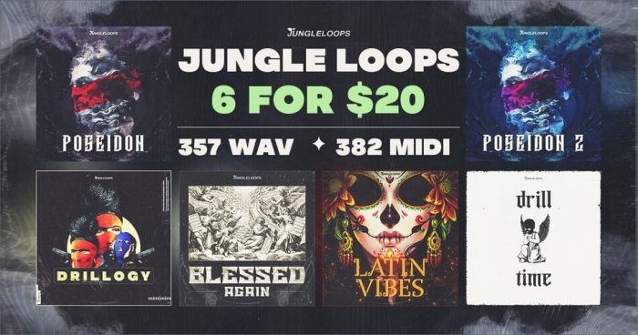 ADSR Jungle Loops 6 for 20