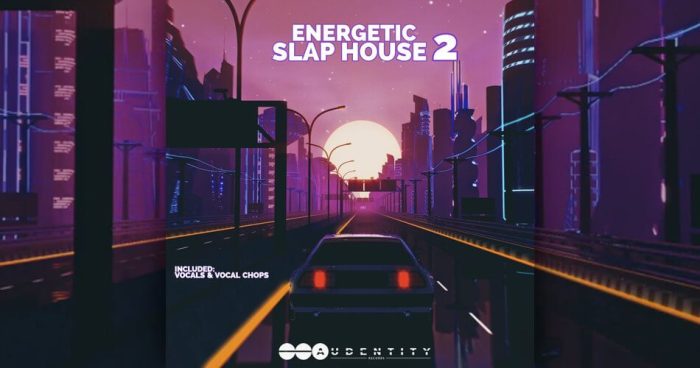 Audentity Records Energetic Slap House 2