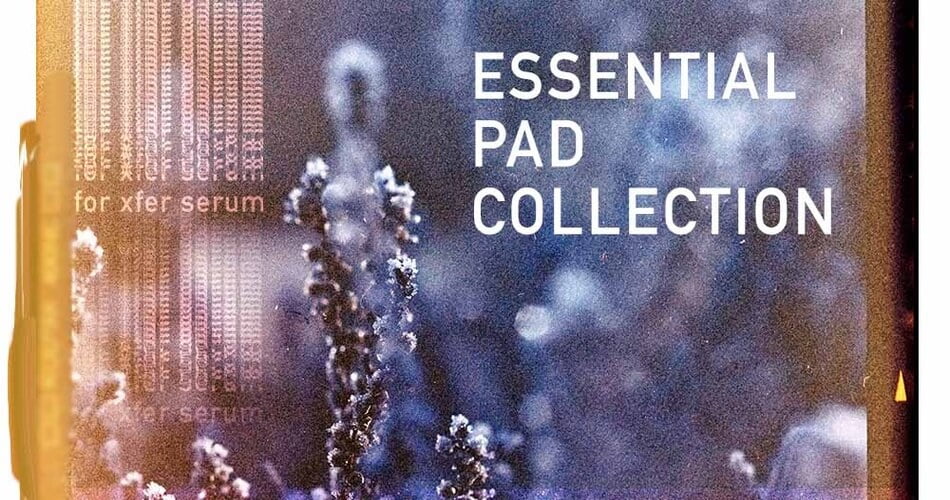 LP24 Essential Pad Collection for Serum